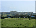 2010 : East from the A4 near Saltford