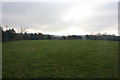 Field near Burnthouse Farm