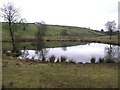 Termon Trout Fishery