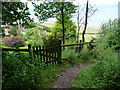 Coast path above Greenaleigh Farm