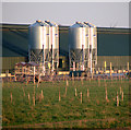 TG3906 : Feed silos at York Hall poultry farm by Evelyn Simak