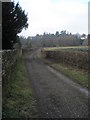 Lane running adjacent to St Mary