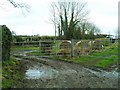 Gateposts at Ballycruttle