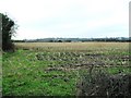 Ballynagross Lower Townland