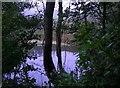 Pond to the north of Leigh Church (Church Farm land)