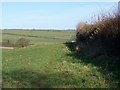 Hedge and footpath near Sandford Orcas