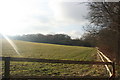 Field by the path south of Lister Avenue