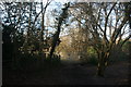 Gate into Dunnings Road Recreation Ground