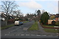 Looking north up Musgrave Avenue