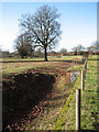 Kilverstone Hall - view along the ha-ha