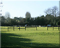 2010 : Pasture seen from Manor Road, Saltford