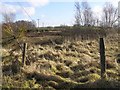 Aghagallon Townland