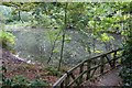 Pond, Grappenhall Heys