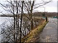 Hollingworth Lake, Rakebank