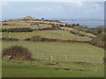 Llanmadoc: the slopes of Cwm Ivy Tor