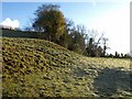 Meadow near Ford Bridge