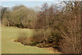 Brook north of the A30 road near Broadwoodwidger