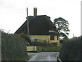 Yellow cob house at Cadhay