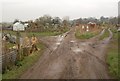 Allotments, Wimborne Minster