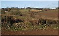 Valley near Higher Lovelynch