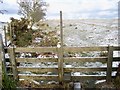 Stile on Public Footpath