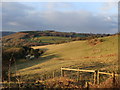 Field near St Briavels