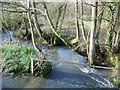 Stream near East Pennard