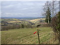 View near Llanhennock