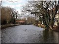 River Stort looking west towards the road bridge at Harlow Mill