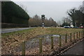 Pub sign & boggy hollow outside the Elephant