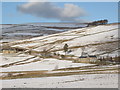 West Allen Dale at Hartleycleugh