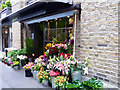 Flower Shop, Shad Thames, London SE1