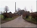 Country Lane Junction