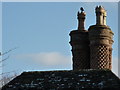 Roof, chimney pots and bird