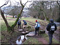 Stepping stones beside the Honddu