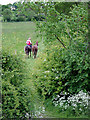 Farm track near Stoneley Green, Cheshire