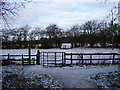 Two gates in the snow