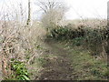 Muddy path to Higher Watercombe