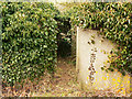 Anti-tank traps, Bridge 99, Kennet and Avon Canal