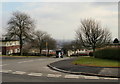 Trees at the top of Kipling Hill, Gaer, Newport