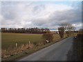 Road approaching Low Sedbury