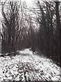 Old Railway after the Snow