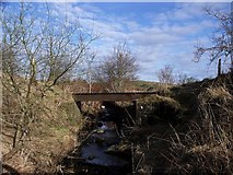 NS7579 : Old Tramway bridge over Craigdouffie Burn by Robert Murray