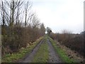 Looking along Lorrenger Lane