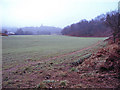 Arable land east of Annesley