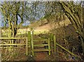 Stile on public footpath