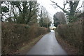 Bridleway west of Gilridge Lodge