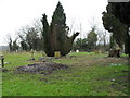 Signs of a recent bonfire at St Nicholas, Kingsley