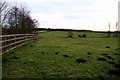 Field of mole hills at Stanton St John