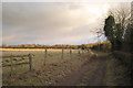 Track to Bubbenhall Wood